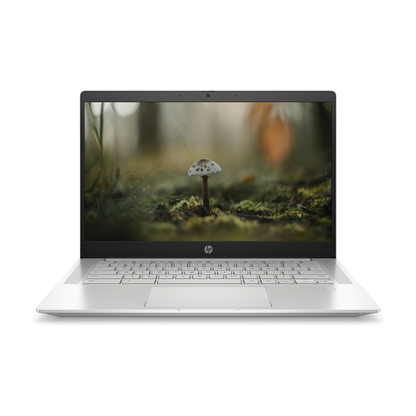 HP Chromebook C640 i5 10th Gen