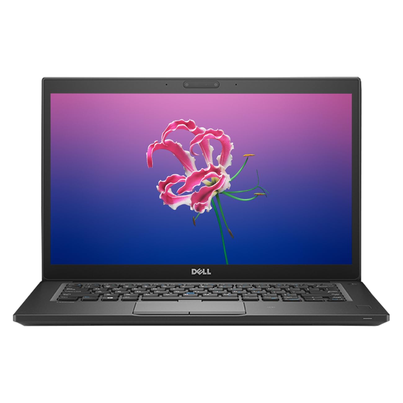 Dell Latitude Laptop | 7480 | i5-6th Gen | 14" HD | Win 11 | Refurbished - Newjaisa