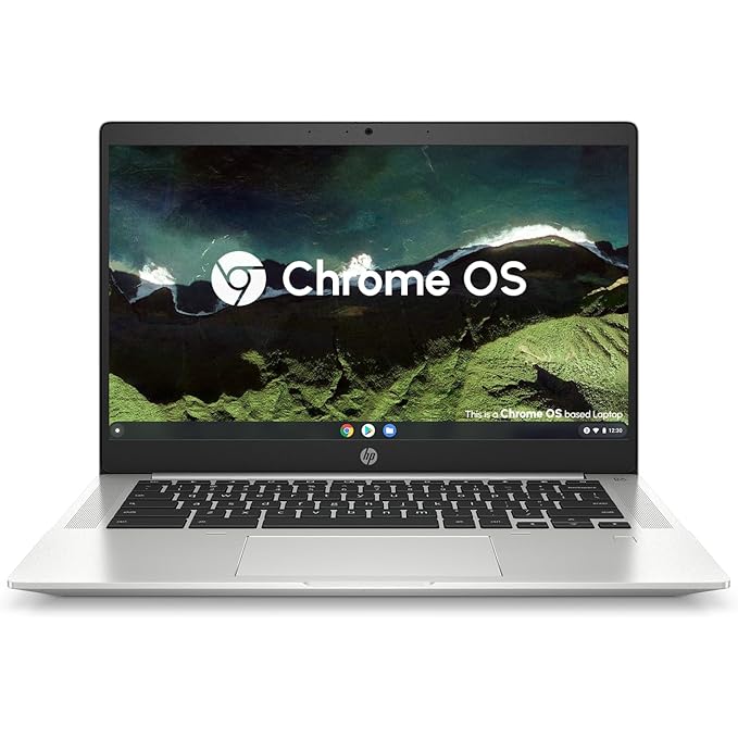 HP C640 | i5-11th Gen |  14" HD | 8GB DDR4 RAM | Chrome OS - Newjaisa