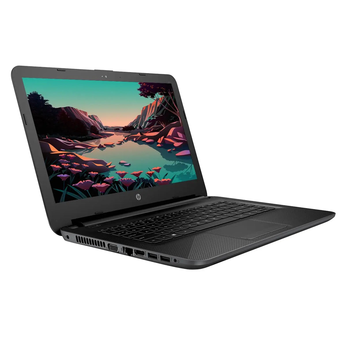 HP Laptop | 245 G4|  AMD  APU Dual Core E1 | Windows 10 | Refurbished - Newjaisa