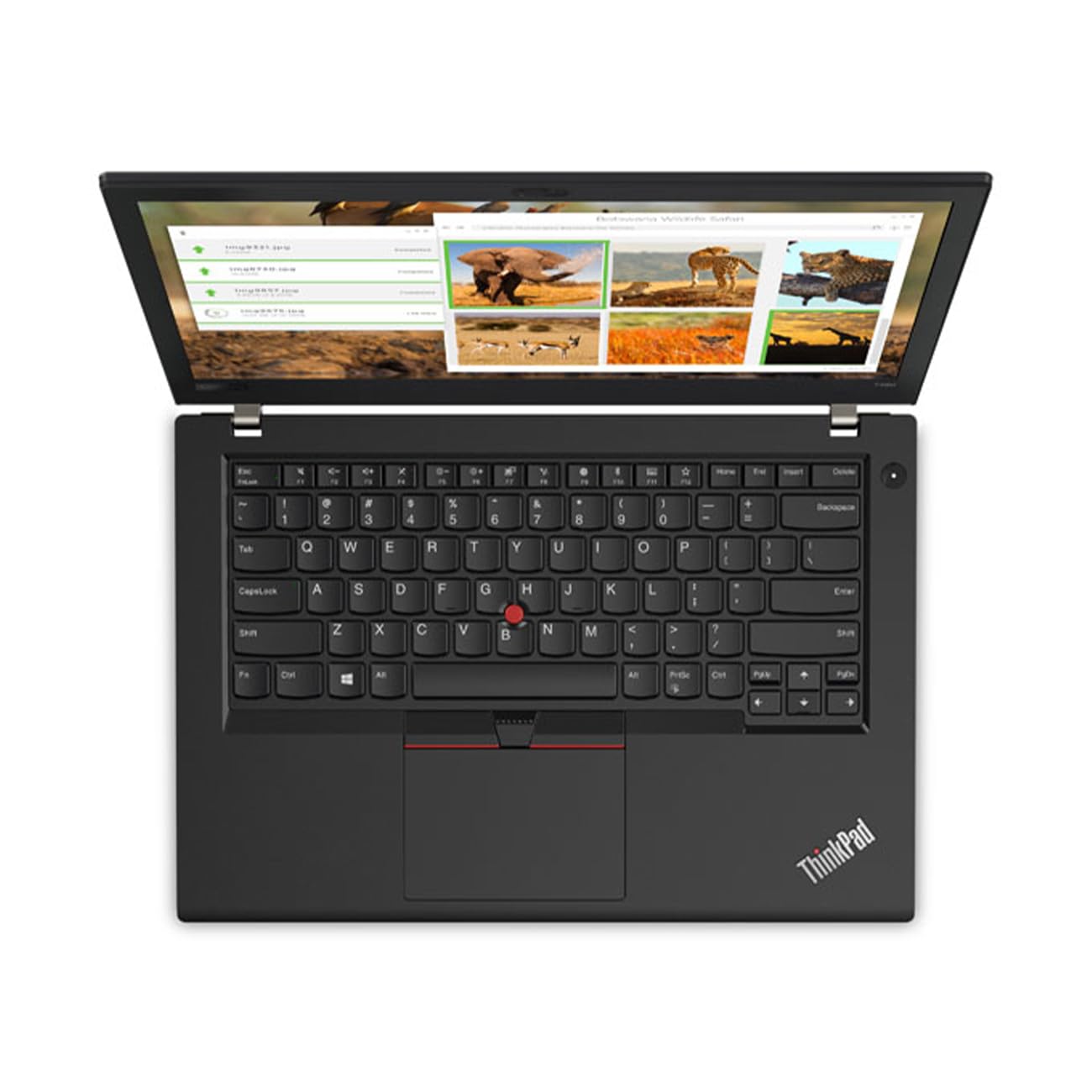 Refurbished Lenovo ThinkPad Laptop T480 | i7-8th Gen | 14" FHD Touchscreen | Win 11 - Newjaisa